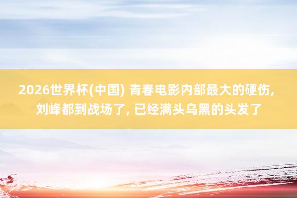 2026世界杯(中国) 青春电影内部最大的硬伤, 刘峰都到战场了, 已经满头乌黑的头发了