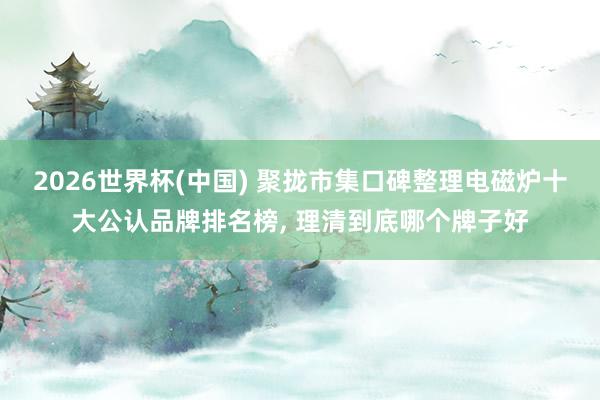 2026世界杯(中国) 聚拢市集口碑整理电磁炉十大公认品牌排名榜, 理清到底哪个牌子好