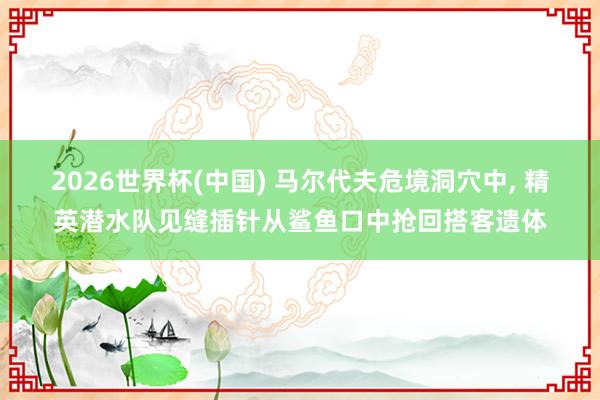 2026世界杯(中国) 马尔代夫危境洞穴中， 精英潜水队见缝插针从鲨鱼口中抢回搭客遗体