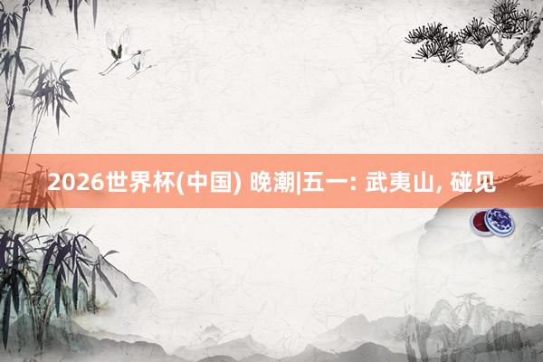 2026世界杯(中国) 晚潮|五一: 武夷山, 碰见