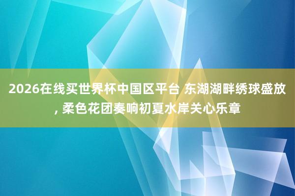 2026在线买世界杯中国区平台 东湖湖畔绣球盛放, 柔色花团奏响初夏水岸关心乐章