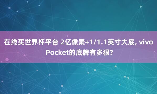 在线买世界杯平台 2亿像素+1/1.1英寸大底, vivo Pocket的底牌有多狠?