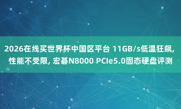 2026在线买世界杯中国区平台 11GB/s低温狂飙, 性能不受限, 宏碁N8000 PCIe5.0固态硬盘评测
