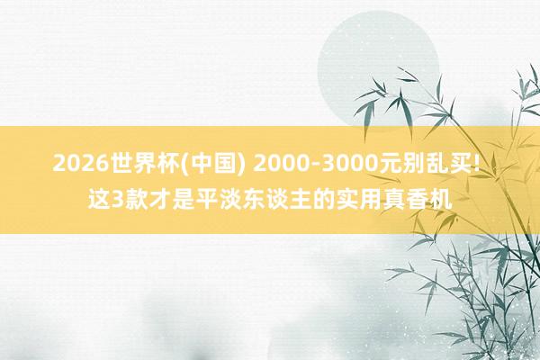 2026世界杯(中国) 2000-3000元别乱买! 这3款才是平淡东谈主的实用真香机