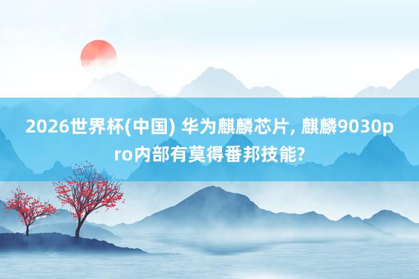 2026世界杯(中国) 华为麒麟芯片, 麒麟9030pro内部有莫得番邦技能?