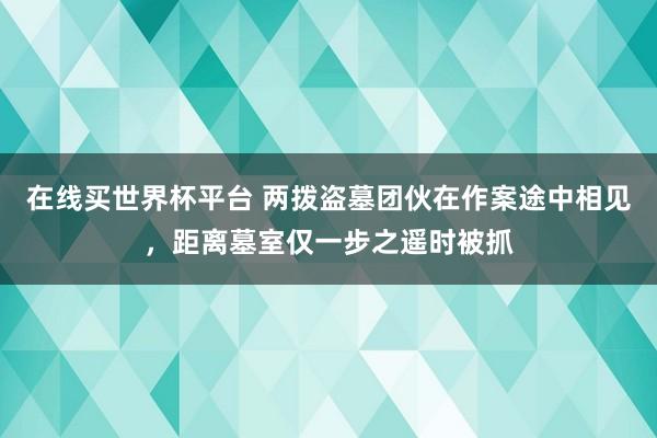在线买世界杯平台 两拨盗墓团伙在作案途中相见，距离墓室仅一步之遥时被抓