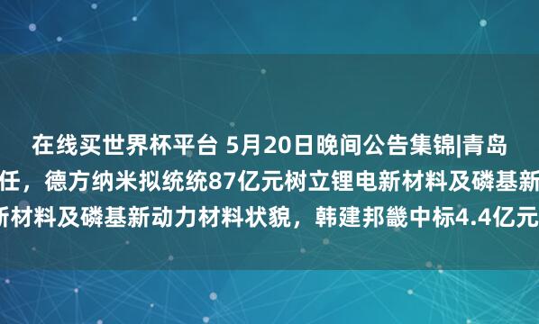 在线买世界杯平台 5月20日晚间公告集锦|青岛啤酒孤独董事张然安排离任，德方纳米拟统统87亿元树立锂电新材料及磷基新动力材料状貌，韩建邦畿中标4.4亿元采购状貌\n