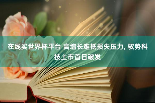 在线买世界杯平台 高增长难抵损失压力, 驭势科技上市首日破发