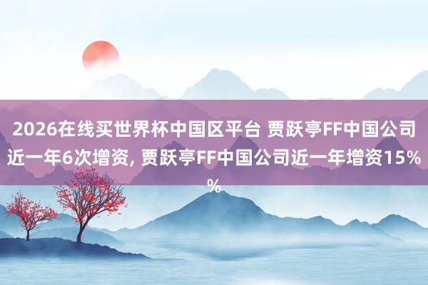 2026在线买世界杯中国区平台 贾跃亭FF中国公司近一年6次增资， 贾跃亭FF中国公司近一年增资15%