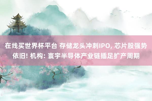 在线买世界杯平台 存储龙头冲刺IPO， 芯片股强势依旧! 机构: 寰宇半导体产业链插足扩产周期