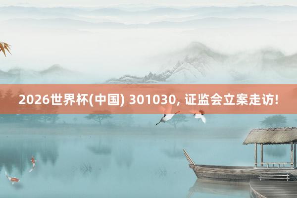 2026世界杯(中国) 301030, 证监会立案走访!