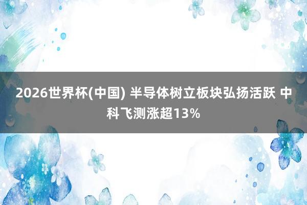 2026世界杯(中国) 半导体树立板块弘扬活跃 中科飞测涨超13%