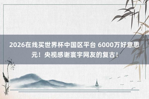 2026在线买世界杯中国区平台 6000万好意思元!央视感谢寰宇网友的复古!