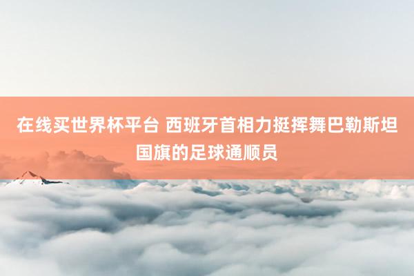 在线买世界杯平台 西班牙首相力挺挥舞巴勒斯坦国旗的足球通顺员