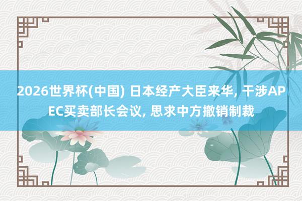 2026世界杯(中国) 日本经产大臣来华, 干涉APEC买卖部长会议, 思求中方撤销制裁