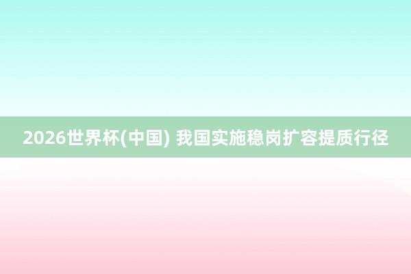 2026世界杯(中国) 我国实施稳岗扩容提质行径
