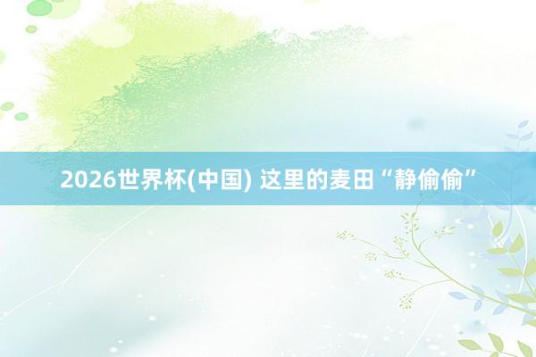 2026世界杯(中国) 这里的麦田“静偷偷”