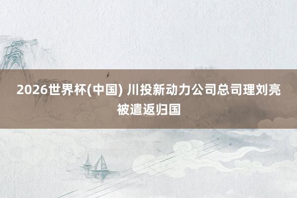2026世界杯(中国) 川投新动力公司总司理刘亮被遣返归国