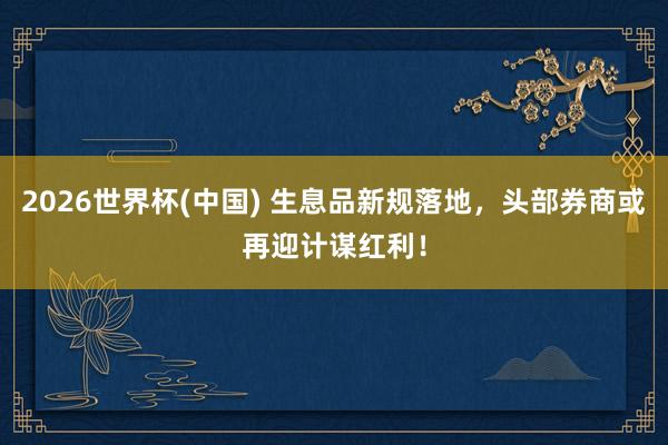 2026世界杯(中国) 生息品新规落地,头部券商或再迎计谋红利!