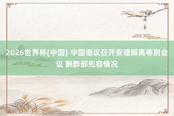 2026世界杯(中国) 中国倡议召开安理睬高等别会议 酬酢部先容情况