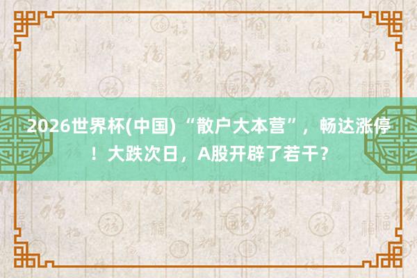 2026世界杯(中国) “散户大本营”,畅达涨停!大跌次日,A股开辟了若干?