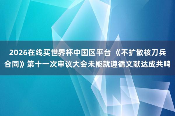 2026在线买世界杯中国区平台 《不扩散核刀兵合同》第十一次审议大会未能就遵循文献达成共鸣