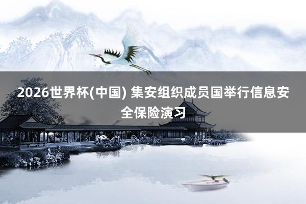 2026世界杯(中国) 集安组织成员国举行信息安全保险演习