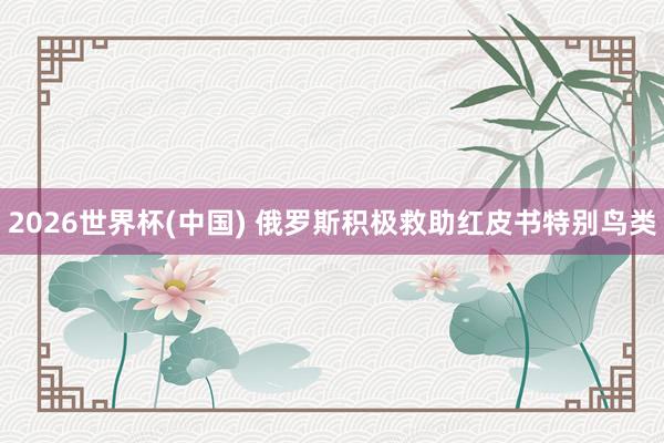 2026世界杯(中国) 俄罗斯积极救助红皮书特别鸟类