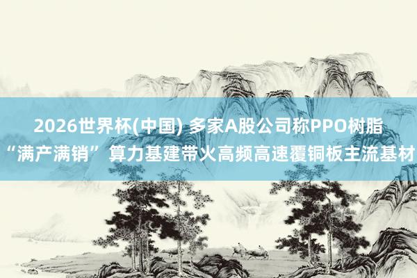 2026世界杯(中国) 多家A股公司称PPO树脂“满产满销” 算力基建带火高频高速覆铜板主流基材
