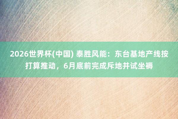 2026世界杯(中国) 泰胜风能:东台基地产线按打算推动,6月底前完成斥地并试坐褥