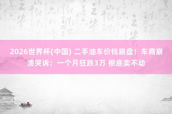 2026世界杯(中国) 二手油车价钱崩盘!车商崩溃哭诉:一个月狂跌3万 根底卖不动