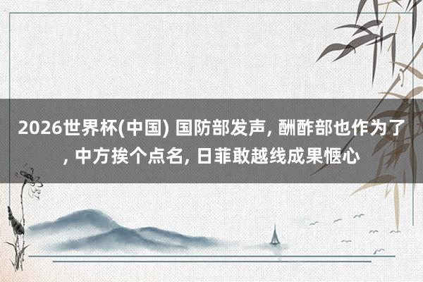 2026世界杯(中国) 国防部发声, 酬酢部也作为了, 中方挨个点名, 日菲敢越线成果惬心