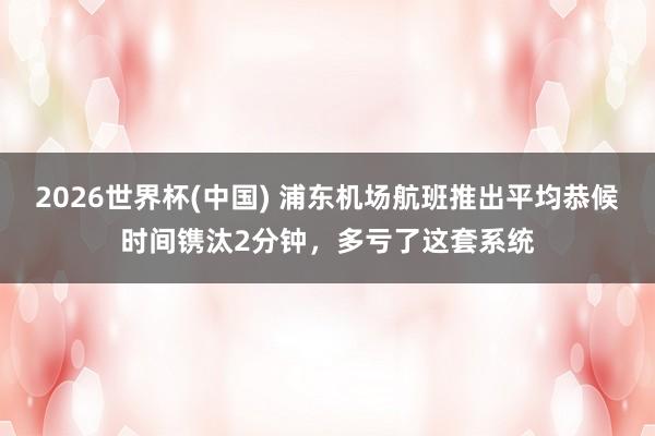 2026世界杯(中国) 浦东机场航班推出平均恭候时间镌汰2分钟,多亏了这套系统
