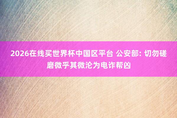 2026在线买世界杯中国区平台 公安部: 切勿磋磨微乎其微沦为电诈帮凶