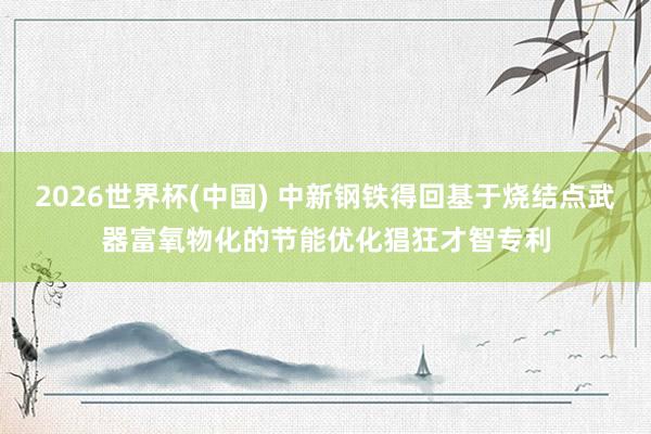 2026世界杯(中国) 中新钢铁得回基于烧结点武器富氧物化的节能优化猖狂才智专利