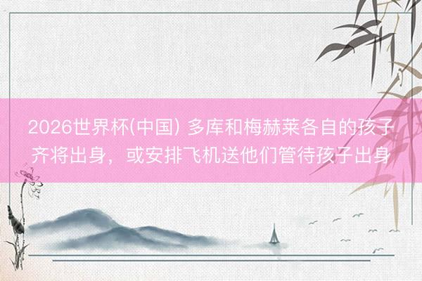 2026世界杯(中国) 多库和梅赫莱各自的孩子齐将出身,或安排飞机送他们管待孩子出身