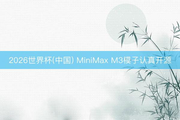 2026世界杯(中国) MiniMax M3模子认真开源